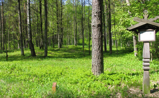 15_Stakų pilkapynas.jpg